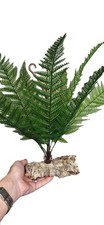 Giant Artificial Vivarium Fern Mounted Onto A CorkBark Base