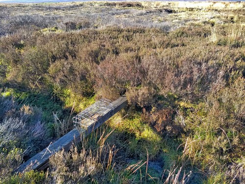 Photo 6x4 fenn trap - 6x4, trap,