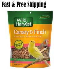 Wild Harvest B12492Q-001