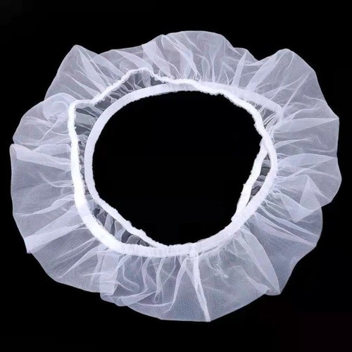 Bird cage seed - bird, skirt