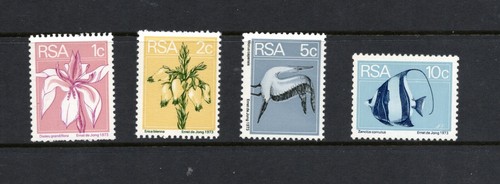 S4539 south africa - s4539,