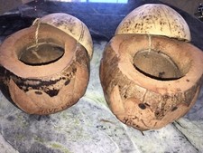 Pair of Hawaiian Coconut Head