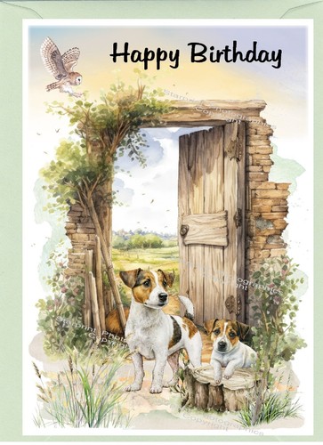 Jack russell terrier - russell, dog