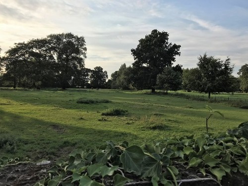 Photo 6x4 grazing land - land, the