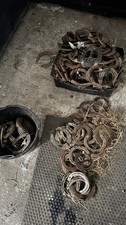 Real Horse Shoes Used Lucky Wedding Irish Horseshoe ???