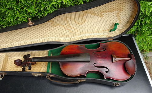 Violin approx cm - violin,