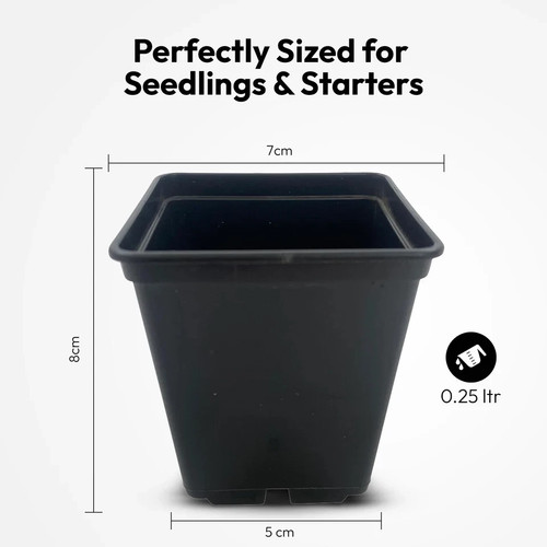 Square plant pots rigid 7cm - plant,