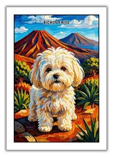 Bichon Frise A4 vibrant