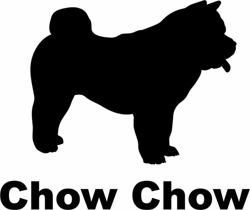 Chow - chow,