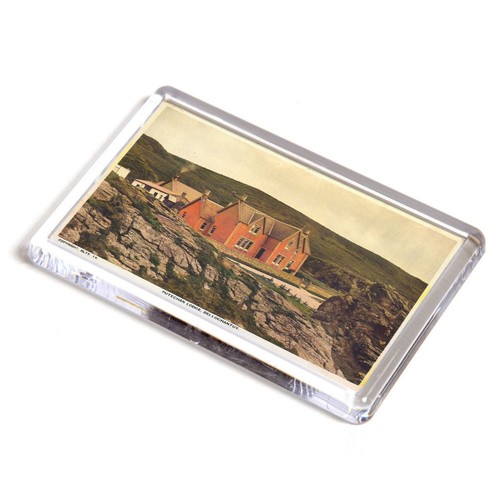 Fridge magnet vintage - fridge,