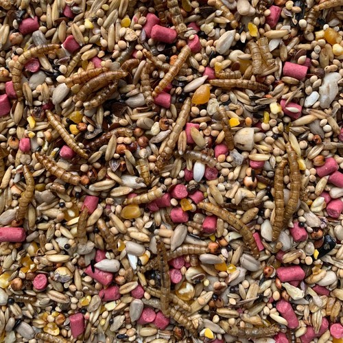 Wild bird seed - mix, gourmet