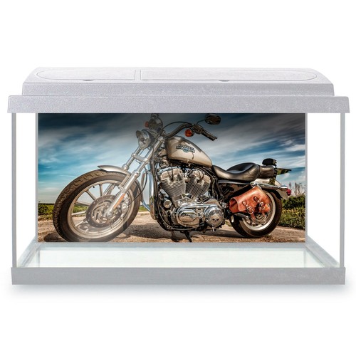 Fish tank background - tank,