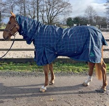 Whitaker Noah 0g Fixed Neck Lightweight Turnout Rug - Navy/Green - 6ft3