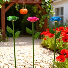 Bird Feeder Multi Purpose