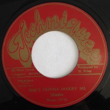 Shades - She's Gonna Marry Me