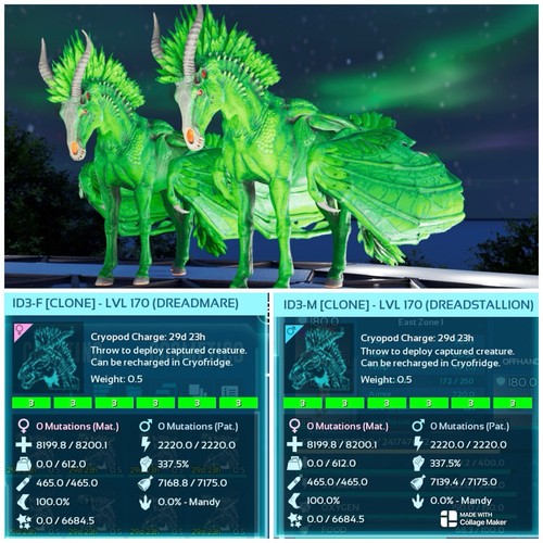Ark survival ascended pve - ark,