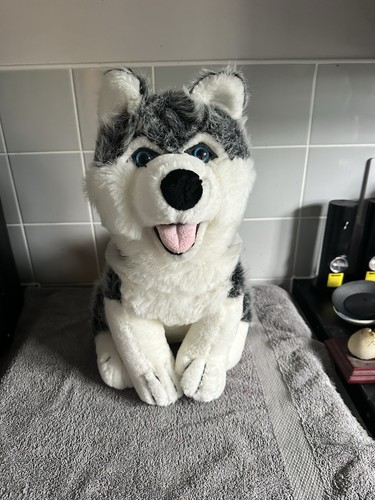 Husky dog cuddles toy - dog,