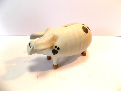Gloucester old spot pig money - gloucester,
