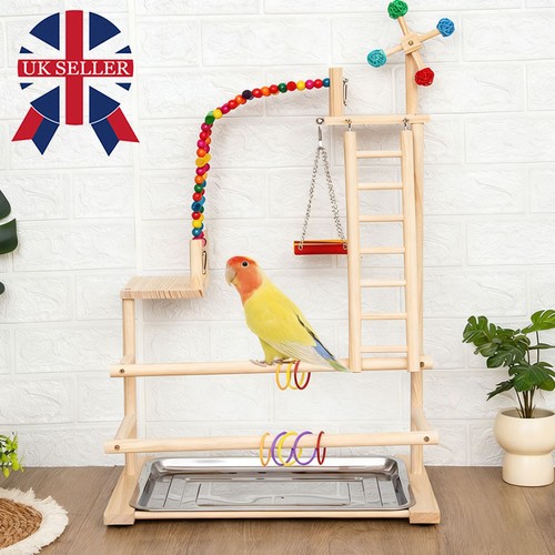 Parrot playstand bird play - bird,