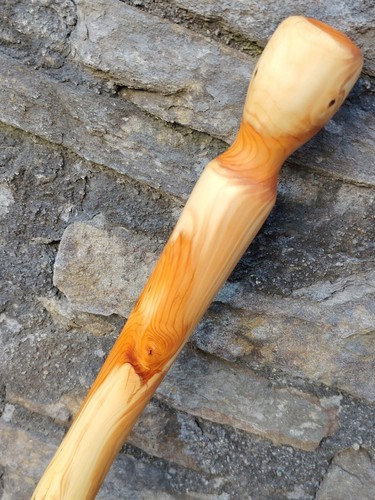 English yew pommel walking - yew,