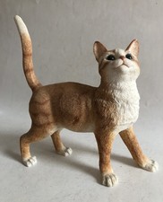 Leonardo Ginger & White Tabby