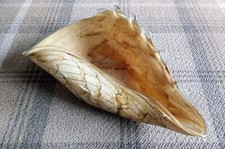 Vintage Brown Cream Conch Shell Bowl Art Glass 9" - Possibly Jozefina Krosno