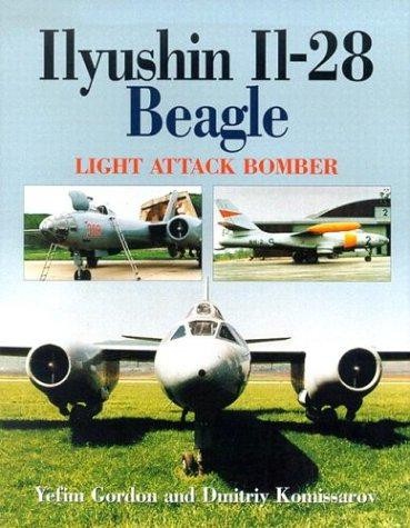 Ilyushin beagle light - beagle:,