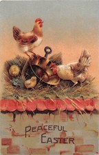 Chickens & Chicks With a Pan