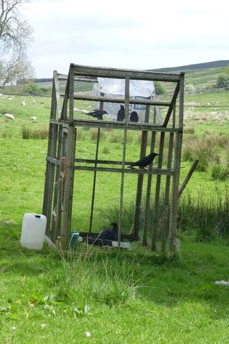 Photo 6x4 larsen - photo,