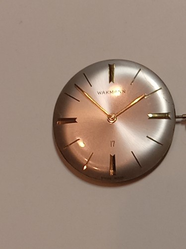 Wakmann watch movement - movement, 17