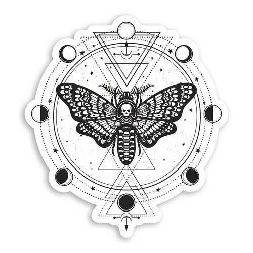 10cm death head hawk - 10cm, moth