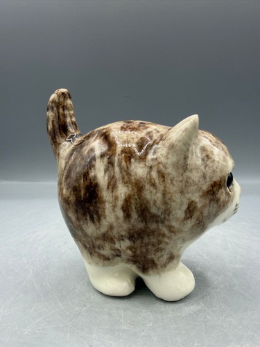 New winstanley tabby cat size - new,