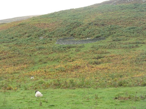 Photo sheep shelter - a1,