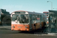 Bus Photo - SELNEC EX42