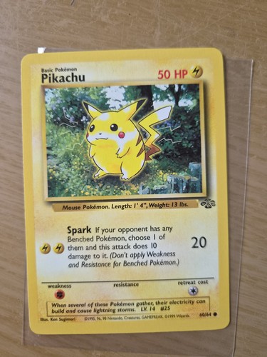 Pokémon pikachu tcg - pikachu,