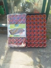Gardenline Seed & Cutting Ttay