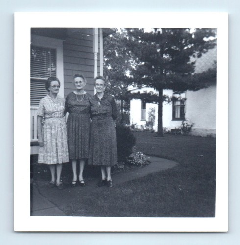 Old vintage square photo trio - photo,