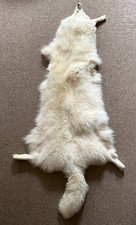 Tanned Arctic Fox Fur Pelt 135 cm – Soft White Genuine Hide Taxidermy Display