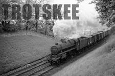 Larger Negative BR British