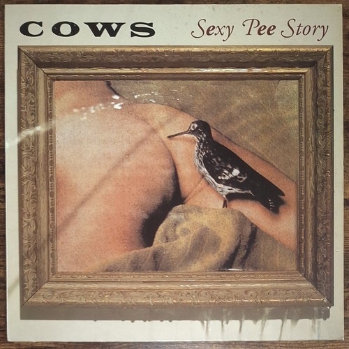 Cows sexy pee story - cows,
