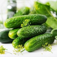3x Cucumber Gherkin –