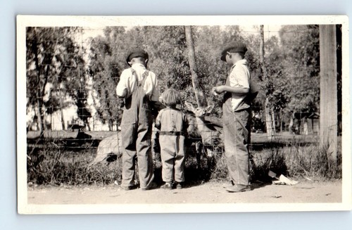 Old vintage photo - photo, trio