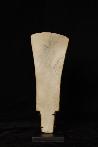 Rare exceptionally large stone