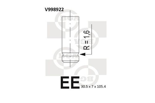 Inlet valve for - inlet,