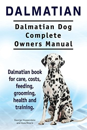 Dalmatian dog - dalmatian.,