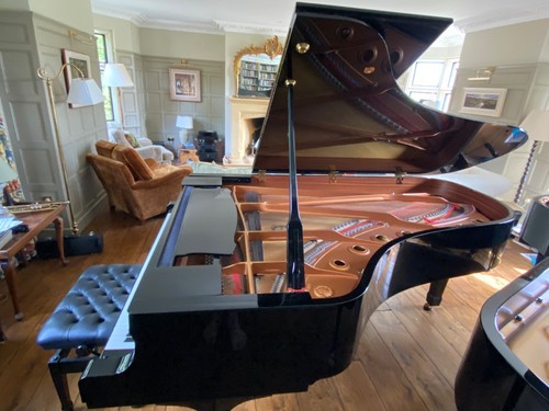 Yamaha grand piano black - yamaha,