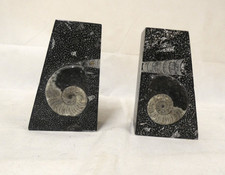 Black onyx marble book ends - ammonite pattern (Hol)