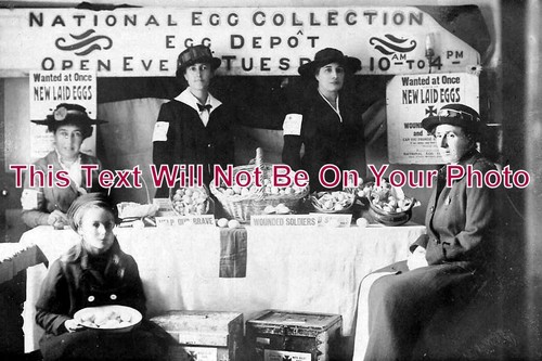 346 national egg - -,
