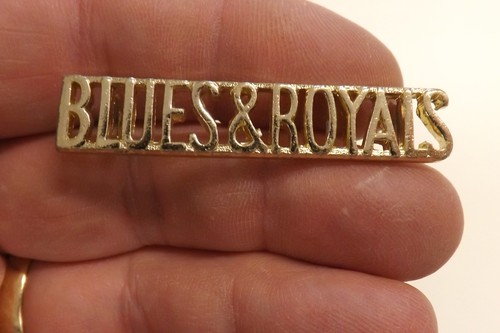 Military badge blues and - badge,
