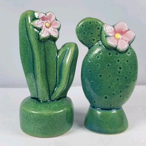 Cactus salt pepper shakers - cactus,